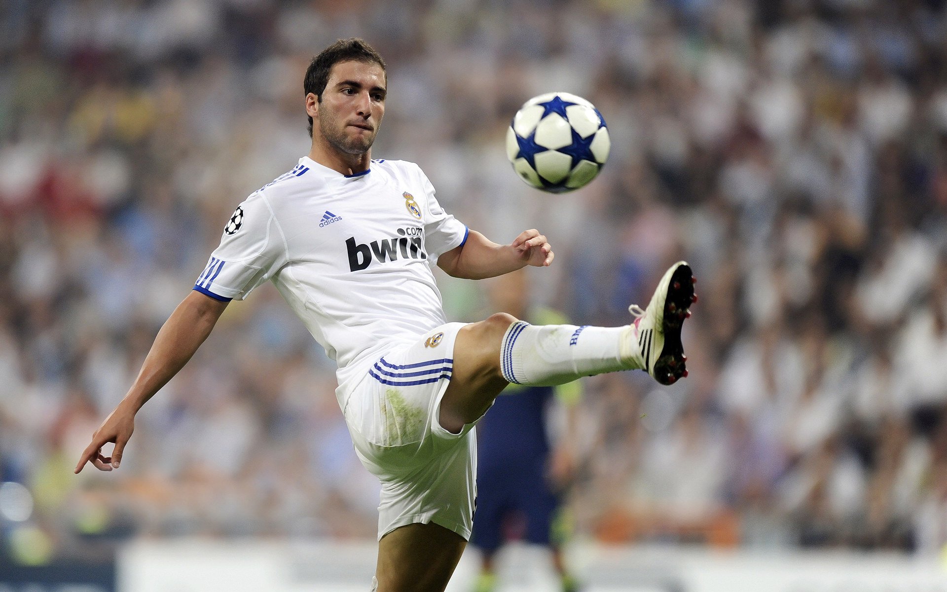 开云官方-帕尔蒂赞加强球队阵容，帕尔蒂克