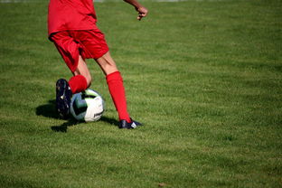 开云app入口-篮球运动员心理韧性培养及心理干预体系建设，篮球运动员心理素质的重要性