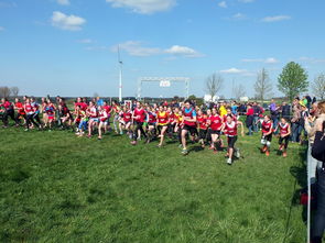 开云体育真人-体育新闻中心参与制定青少年体育内容发布规范，青少年体育刊物