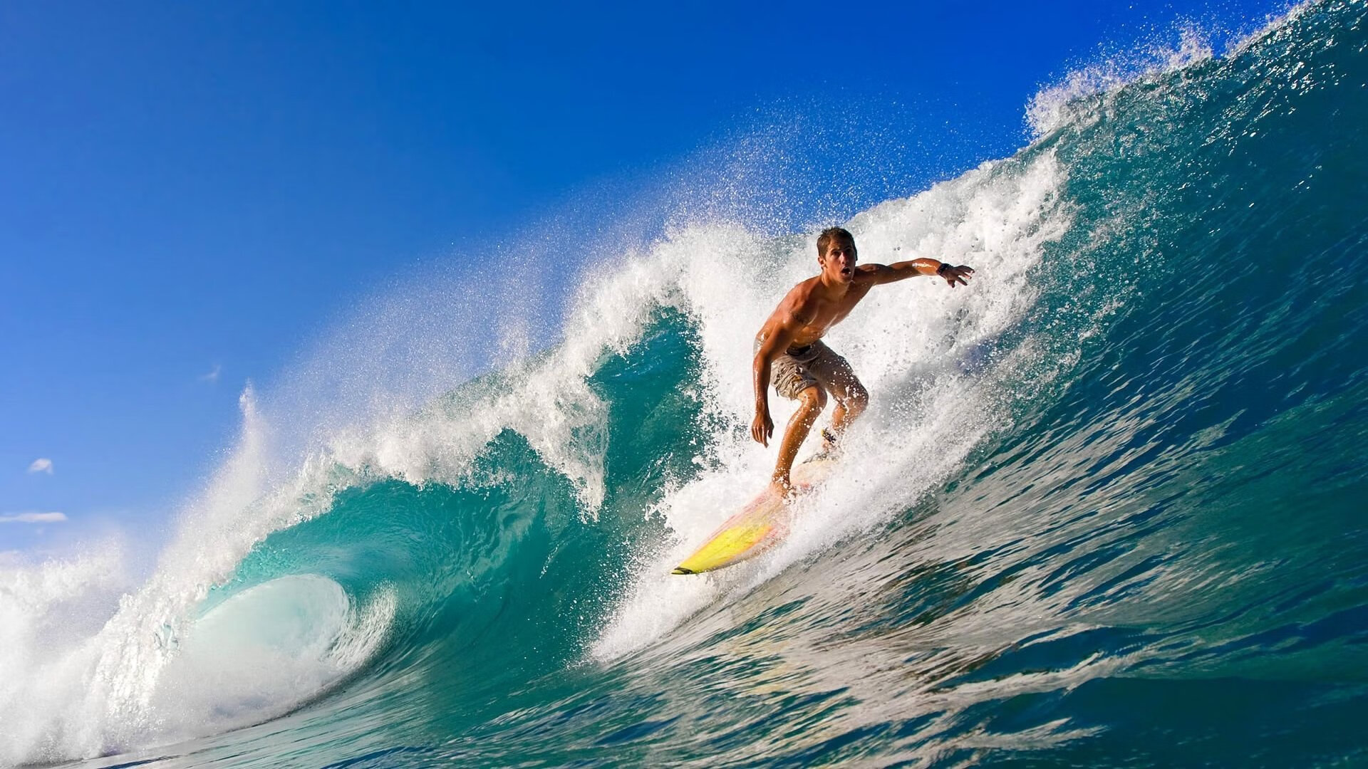 奥运村人性化空间设计获得国际设计奖项，奥运村布局