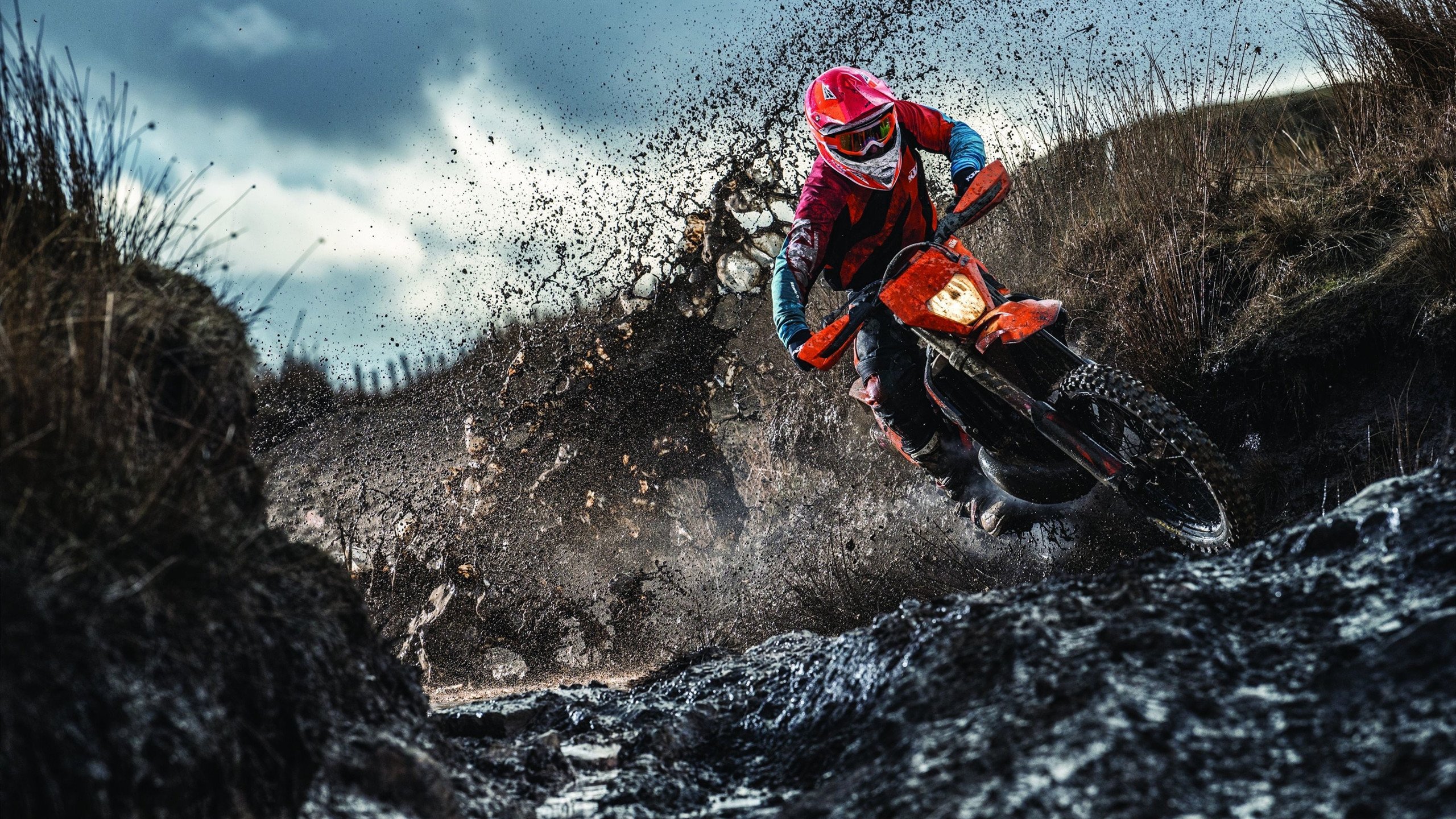 教练团队职业发展路径进入政策支持范围,教练员自我发展规划